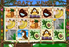 Crazy Jungle