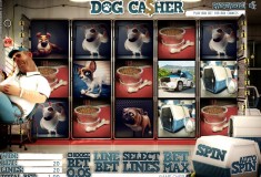 Dog Casher