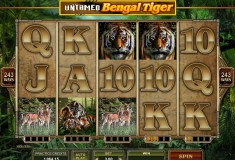 Untamed Bengal Tiger