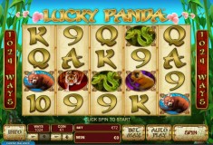 Lucky Panda
